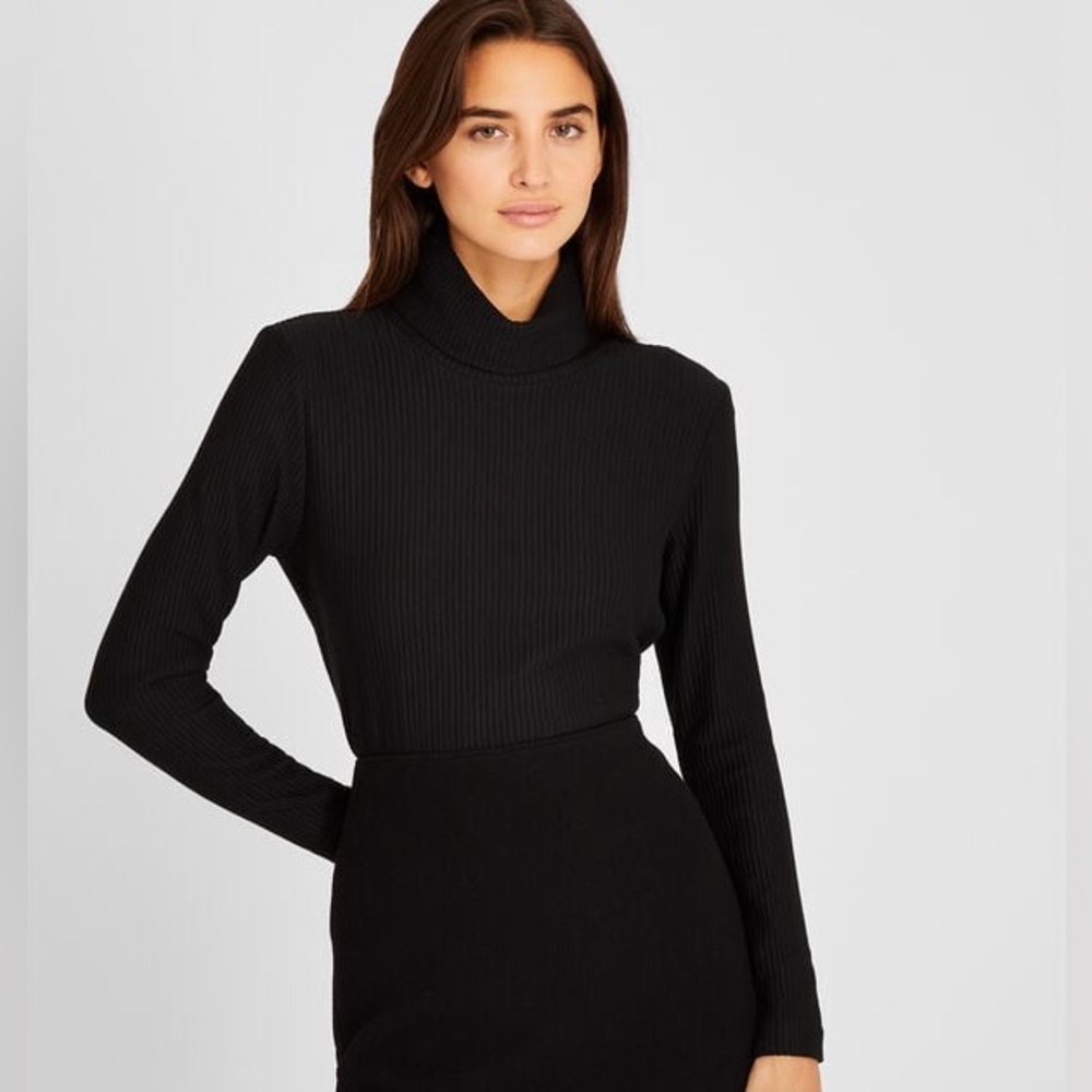 Club Monaco Meredy Turtleneck Sweater | XS